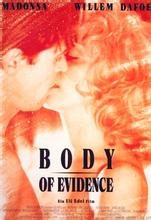 㾪飨Body of Evidence