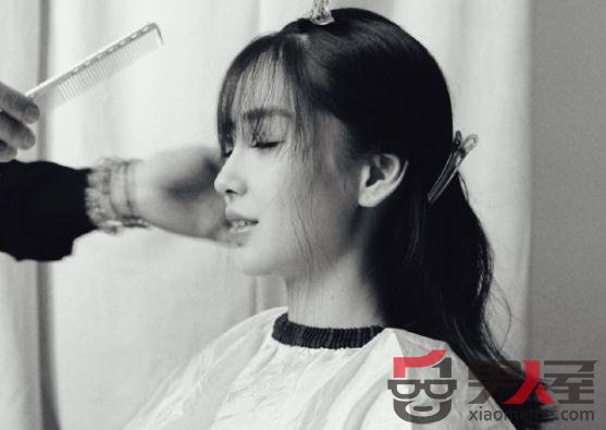 Angelababy· ϵѧ