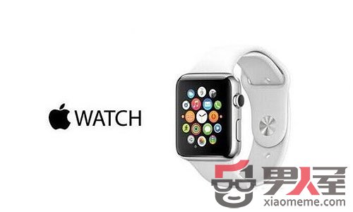 ΪʲôApple WatchСiWacth