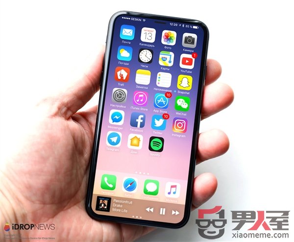 ĻͣiPhone 88 Plusع⣺˫ͷ